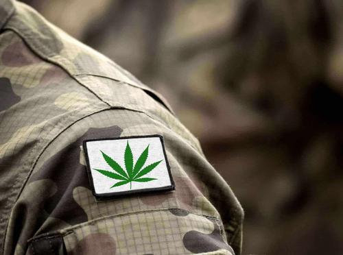 Everything Veterans with PTSD Need to Know About Medical Marijuana