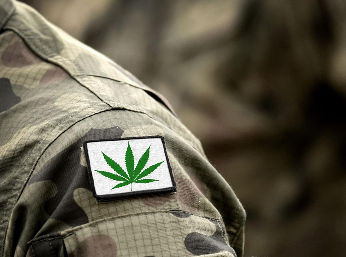 Everything Veterans Need to Know About Medical Marijuana